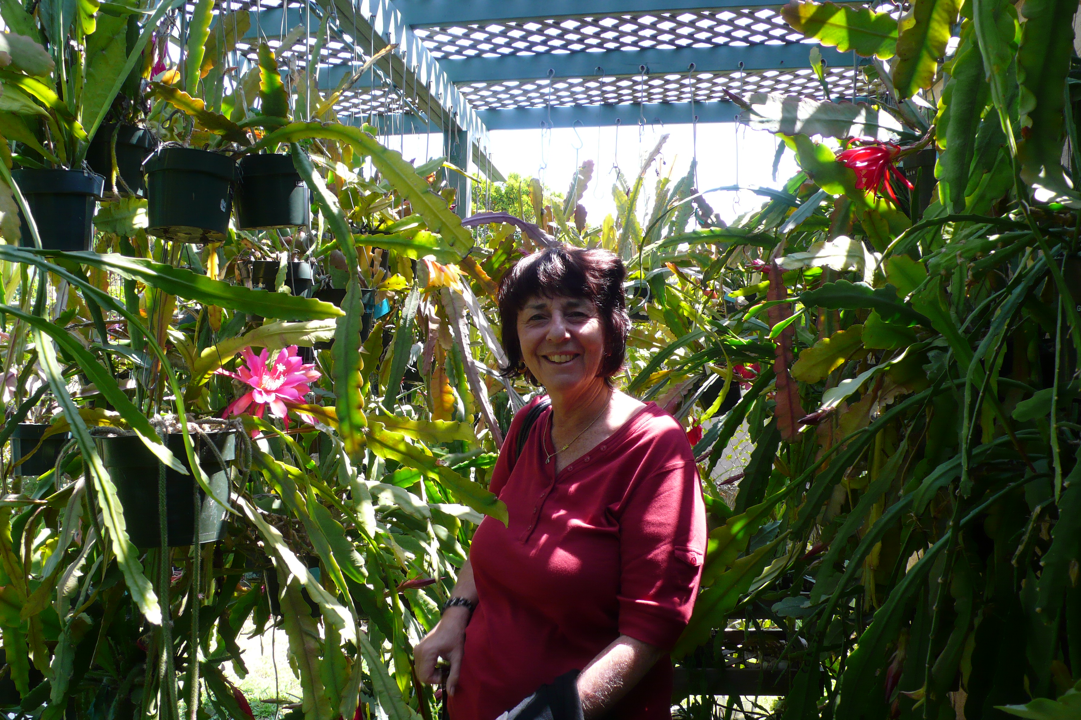 Lynell Marchese Zogbo Memorial Page & Funeral Virtual Guestbook 